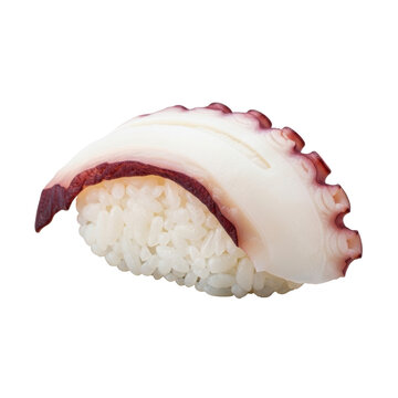 A single piece of Octopus (Tako) nigiri sushi, purple-skinned octopus draped over glossy white rice, on a clean transparent background, macro extreme close-up, appetizing food photography concept
