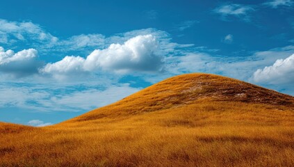 Obraz premium Golden Hill under Blue Sky Landscape photography of rolling hills, sunny day, possibly for travel brochure
