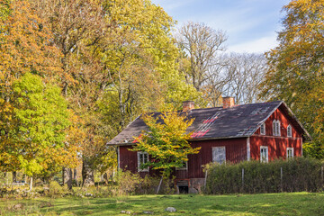 Obraz premium Abandoned red cottage in a deciduous forest in autumn