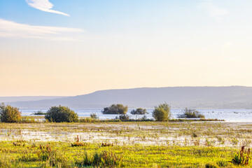 Wet meadow by a lake in morning light