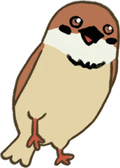 Cute Animal Sparrow Bird Illustration.