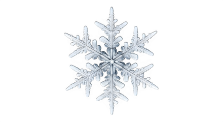 Stunningly detailed hexagonal ice crystal snowflake showcases intricate crystalline structure and delicate beauty, perfect for winter themes.