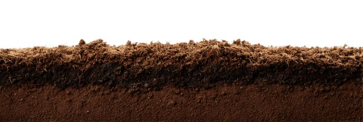 Close-up view of soil layers.
