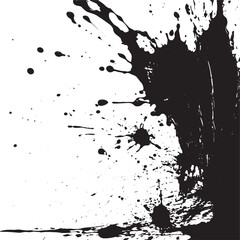 Obraz premium ink splat black color , brush splatter ,paint splatter , ink splatter water splatter 