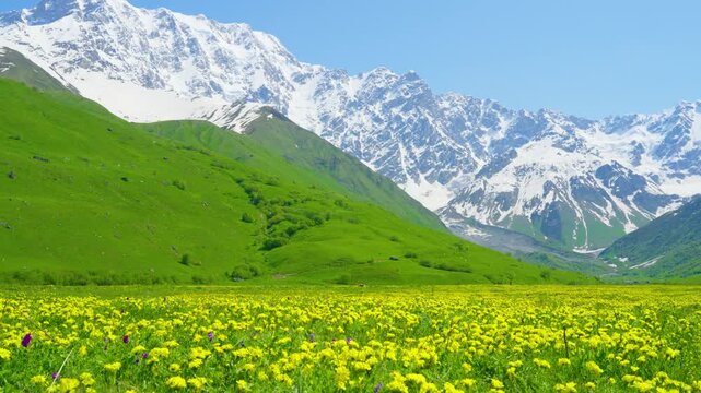Flowering valleys