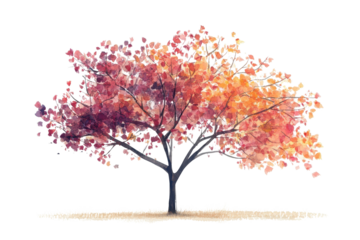 Beautifully vibrant tree stands isolated against a white backdrop showcasing the stunning colors of autumn foliage in a serene and peaceful setting