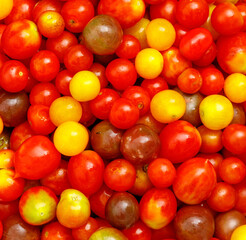 Bunch of red and yellow tomatoes