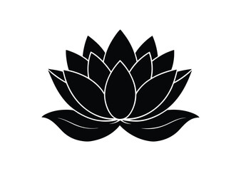 Fototapeta premium A sleek water lily silhouette black vector white background