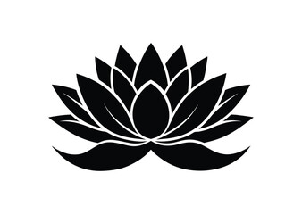 Fototapeta premium A sleek water lily silhouette black vector white background