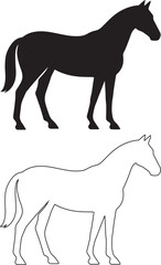  Horse Silhouette Black and White Outline Depiction