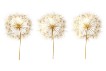 Golden firework bursts illuminate the night sky in an impressive display near a serene lake during a summer celebration