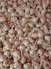 Fresh Organic Garlic Bulbs Background – High-Resolution Stock Image for Culinary, Farming, Herbal Medicine, and Natural Food Concepts