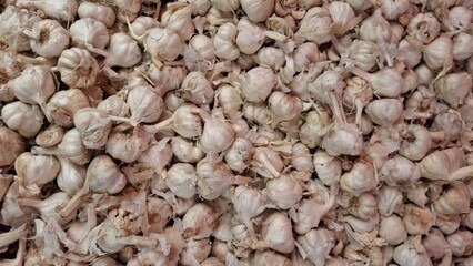 Close-Up of Fresh Organic Garlic Bulbs – Natural Culinary Ingredient, Herbal Remedy, Farm Produce, Healthy Cooking, and Agricultural Background Stock Photo