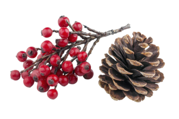 Beautiful arrangement of holly berries and pine cone as festive Christmas decorations celebrating the holiday spirit during winter festivities at home or in public spaces