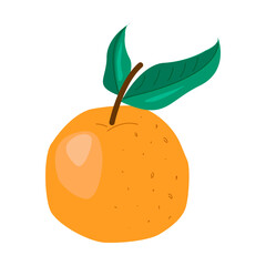 Single orange fruit with green leaves, vector illustration