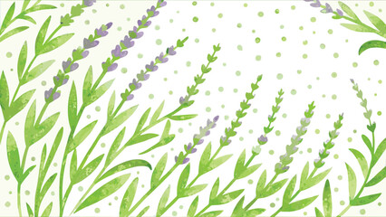 Watercolor lavender sprigs with green leaves and light green dots on a white background design art