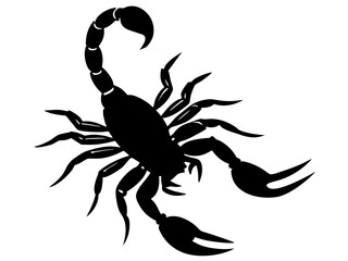 scorpion  silhouette vector illustration,scorpion   icon