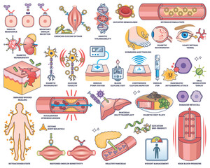 Diabetes Mellitus is illustrated with insulin resistance, blood glucose test, and damaged beta cells. Outline style worksheet collection