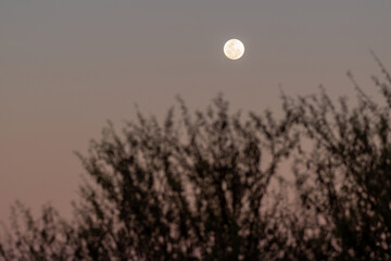 Pleine lune au crépuscule © PPJ