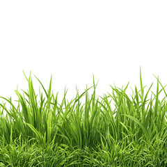 Fototapeta premium A vibrant patch of green grass with a dark background creating a natural and isolated scene effect on transparent background