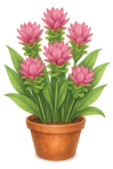 Pink Siam Tulip in Terracotta Pot with Dew Drops on Transparent Background