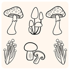 Hand-drawn mushroom doodles. A unique set of different fungi species, from classic toadstools to enoki mushrooms.
