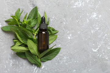 Natural Mint Essential Oil in a Glass Bottle. organic cosmetics with herbal extracts of mint on...