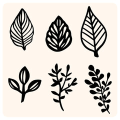 Minimalist black leaf silhouettes. A simple and elegant vector set of various botanical leaves and plant sprigs.