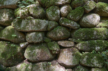 A natural stone wall covered in vibrant green moss and foliage creating a textured natural background