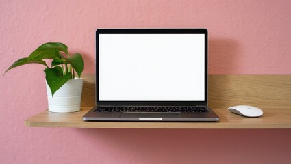 Fototapeta premium Laptop and plant on a wooden shelf against pink wall