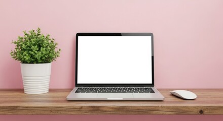 Fototapeta premium Laptop and potted plant on wooden shelf against pink wall