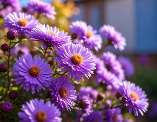 Close-up of vibrant purple flowers (3)