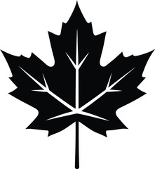 Elegant silhouette of a maple leaf in autumn colors