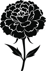 Minimalist marigold silhouette in black and white