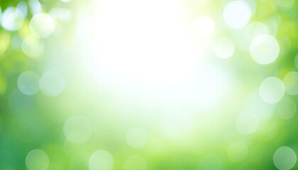 Fototapeta premium Blurred green bokeh background