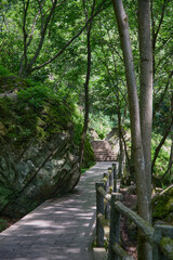 Scenic Forest Path Beside Rocky Outcrop and Wooden Fence