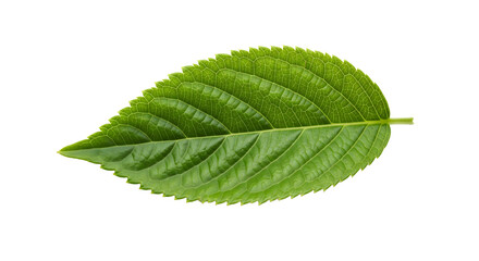 Surprised blue emoji with wide eyes and open mouth gestures 'See You Soon' with raised index finger, creating anticipation