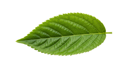 Surprised blue emoji with wide eyes and open mouth gestures 'See You Soon' with raised index finger, creating anticipation