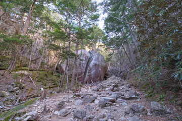 Fototapeta premium 瑞牆山の登山道
