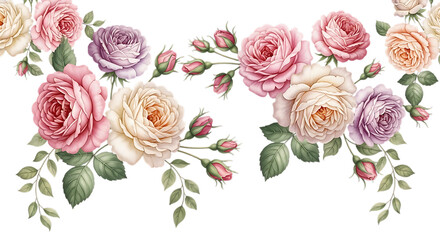 Watercolor roses and buds arrangement isolated on transparent background