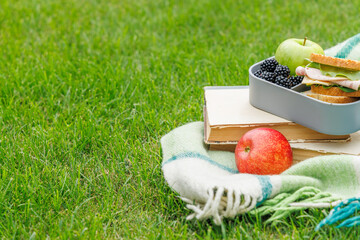 Picnic on a lawn with books, sandwiches, fruits