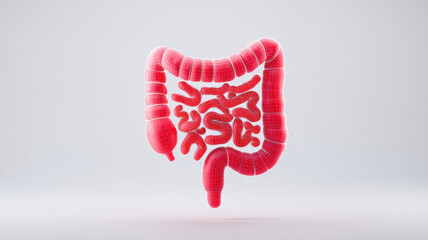 3D holographic digestive system human intestine colon medical anatomy healthcare isolated pink clean background