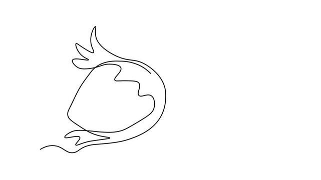 Abstract hazelnut, filbert, Self drawing animation one continuous line draw, logo