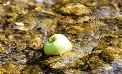A green apple lies in a stream of clear water, which creates ripples around it. The image conveys a...