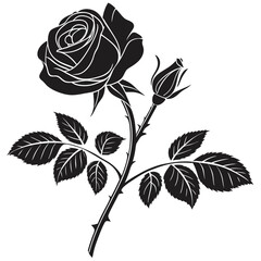 Obraz premium Elegant Black Rose Illustration