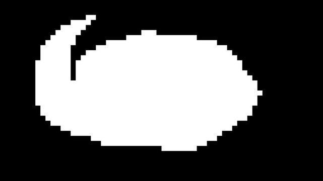 Black and white pixel transition
