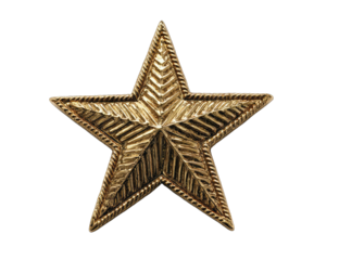Gold star with detailed, ridged points