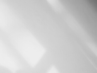 Background shadow white light wall floor backdrop overlay leaf mockup summer sunight overlay nature on room cement abstract blur muckup effect grey minimal platform for presentation product