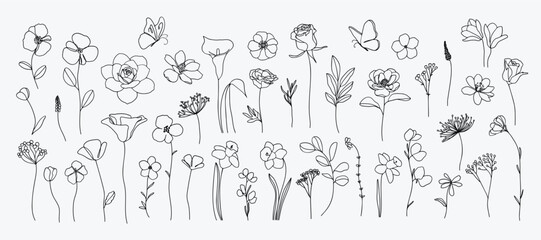 Floral and botanical doodle element vector. Set of leaf, foliage wildflowers, plants, bloom, herb and butterfly. Hand drawn of blossom spring season vectors for decor, website, wedding card and shop.