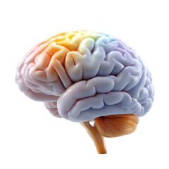 Colorful Human Brain Model with Smooth Texture and Artistic Representation, Symbolizing Creativity, Knowledge, and Intelligence in Abstract Style